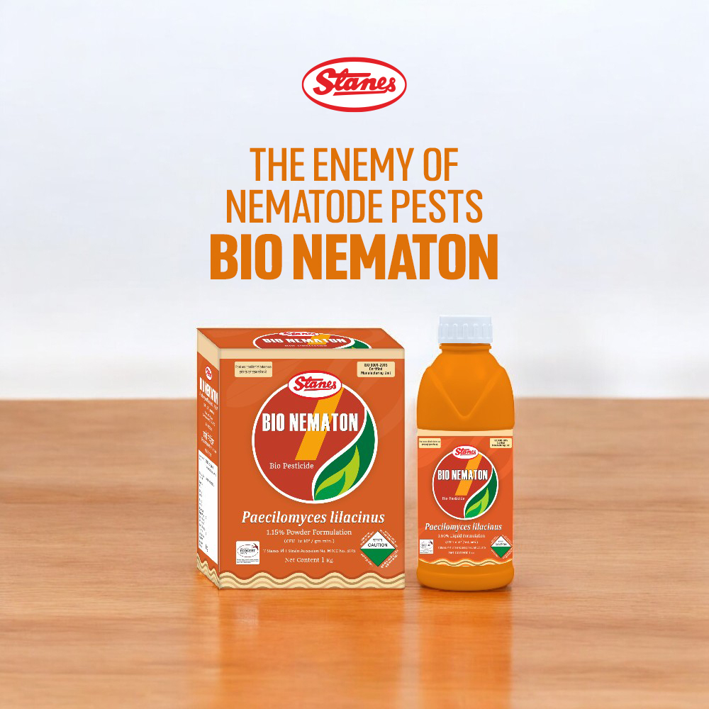 Bio Nematon Image